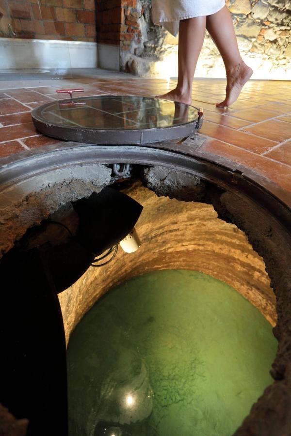 Oasi Castello Di Lerma Nel Monferrato公寓 外观 照片